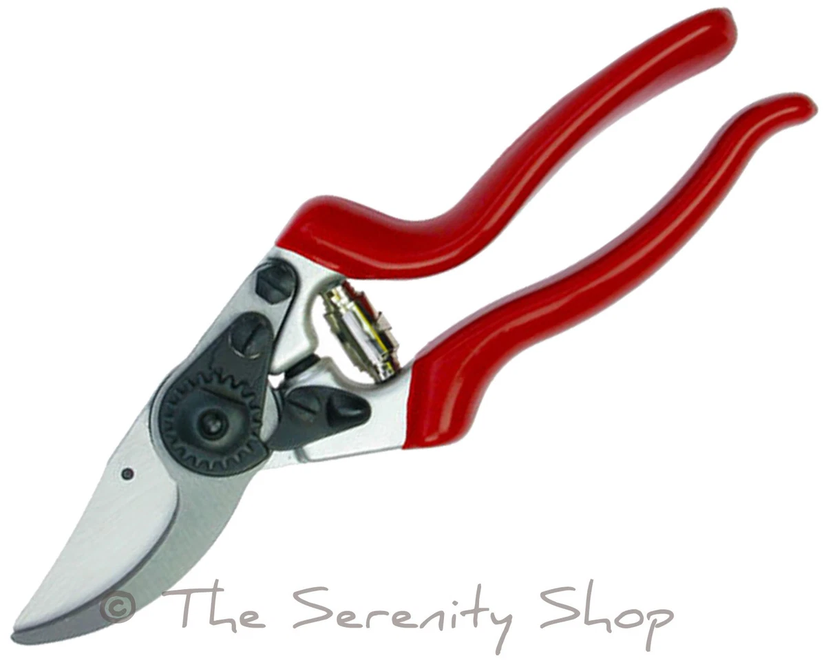 Darlac 2024 pole pruner