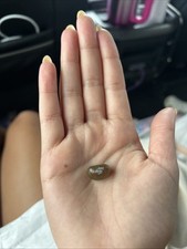 Rare Jelly Belly Jellybean Found In A Flavor, Jelly Belly Jellybean Pack 30