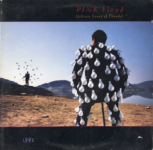 PINK FLOYD - THE DELICATE SOUND OF THUNDER LP & BACKUP AUDIO ON 24k CD