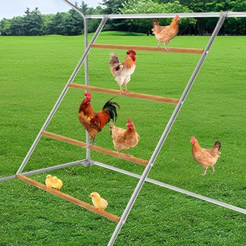 Chicken Coop Roosting Perch Essentials, Chicken Roosting Ladder, 55"L x