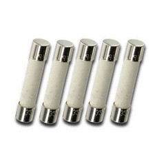 Lot 5x Quick Blow Fast Acting CERAMIC FUSES Tube 125V/250V 5x20 6X30mm US SELLER