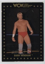 1991 Championship Marketing WCW Barry Windham #90 hg6