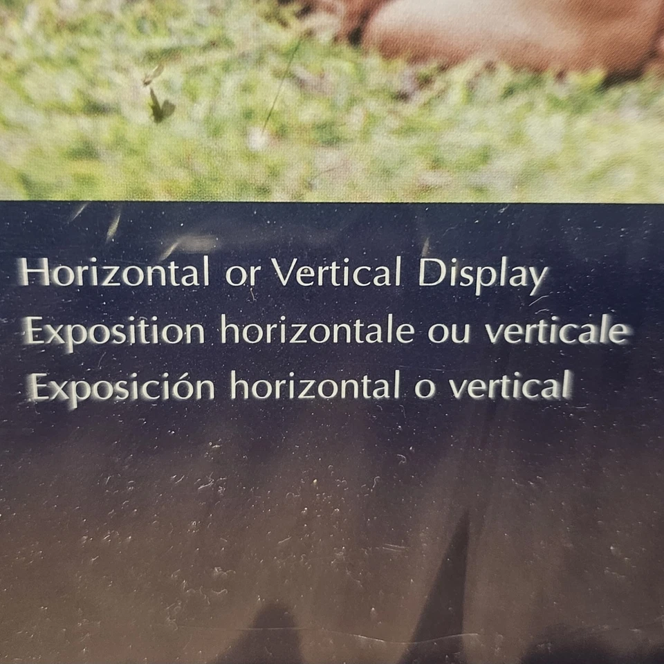MCS - Clipframe - Glass Clip Picture Frame for a 4 x 6" Photograph  - Image 2 of 4