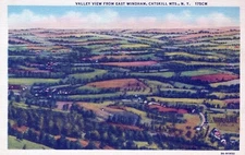 Valley View from East Windham Catskill Mountains New York Linen Postcard