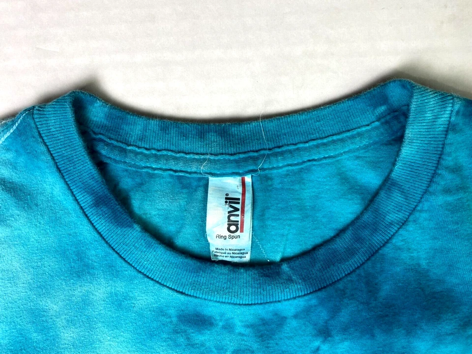 Camiseta Banda Vintage Panic at the Disco Talla S 00s Todo Mármol Azul Aqua Foto 2 de 4