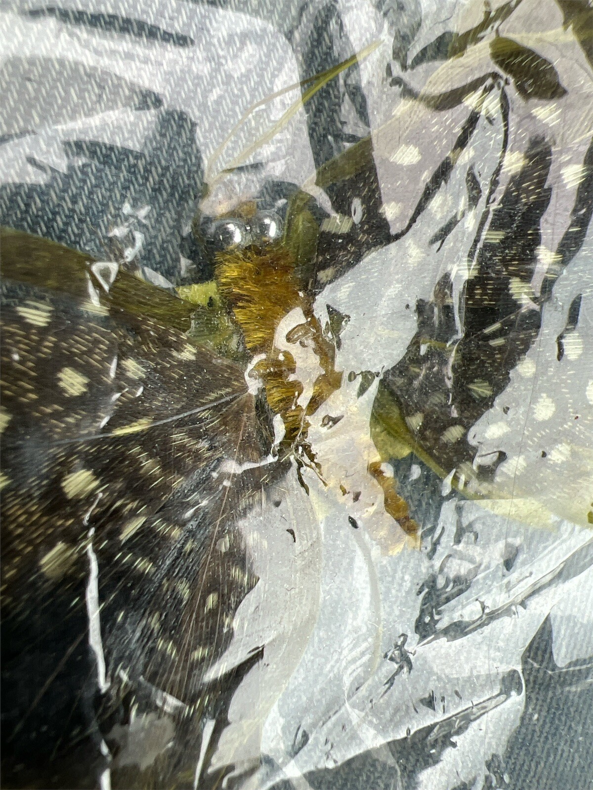 Bild 8 von 9