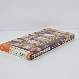 ADVANCED DAISENRYAKU Great Strategy Dreamcast Sega 2198 dc