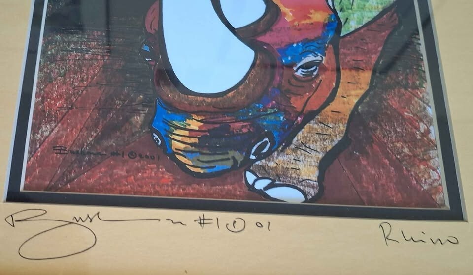 Artist Signed Colorful Rhino Art By Bushman #1 Timothy Adebule EX COND ...