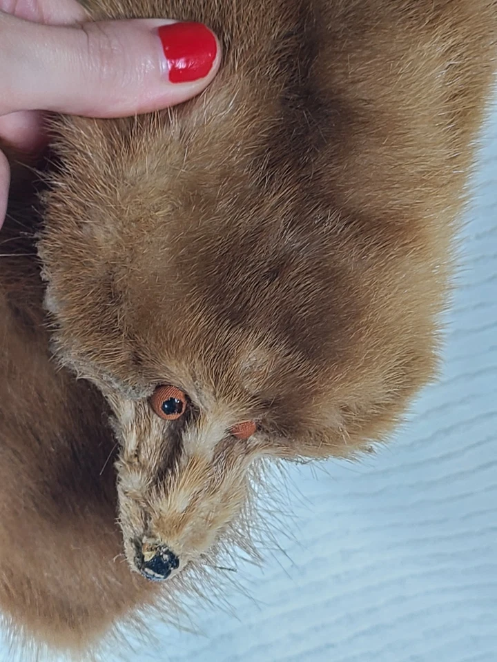 Vtg 60s Blonde Mink Fur Wool Backed Collar Tan Two Whole Pelts Genuine Pinup - Image 3 of 4