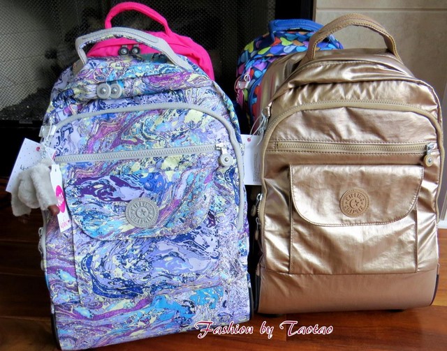 sanaa metallic rolling backpack