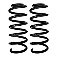 Fahrwerksfedern-Set Hinten Schraubenfeder Ø98Mm Spidan FüR U.A. Renault Clio