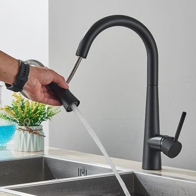 ROZIN Niederdruck Küchenarmatur Ausziehbar Brause Wasserhahn Küche Niederdruckarmatur