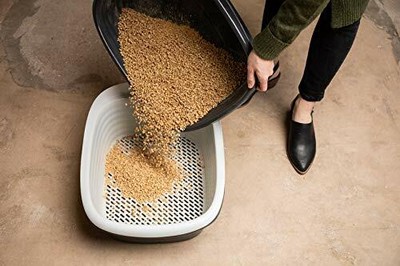 arm and hammer large sifting litter pan