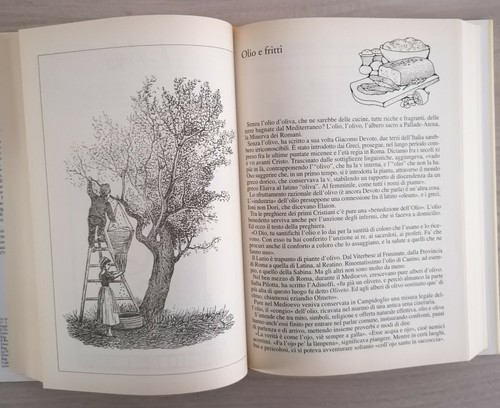 ~LA CUCINA REGIONALE ITALIANA~LOTTO DI 14 VOLUMI ~NEWTON & COMPTON EDITORI - Foto 10 di 10