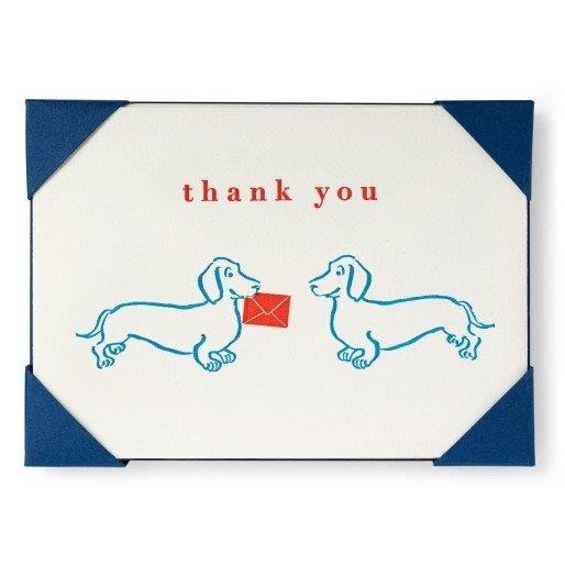 Dachsunds - Thank You Notecards - 5 Notecards & Envelopes - Jason Faulkner