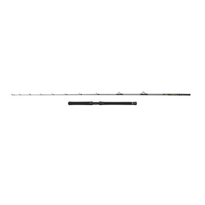 PENN Regiment IV Halibuster 2,4m 30-50lb by TACKLE-DEALS !!!