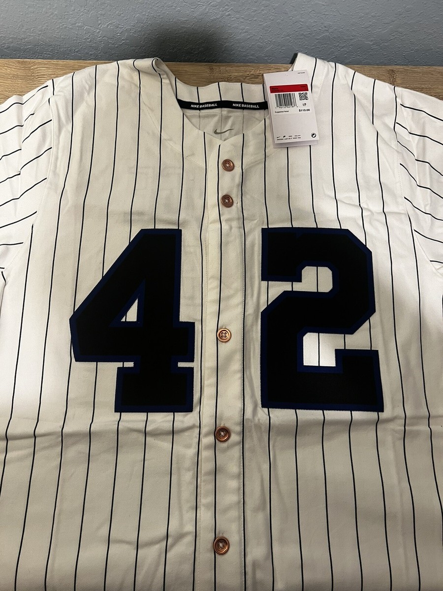 Nike Baseball Jackie Robinson CHANGE THE WORLD Jersey DV9249-121
