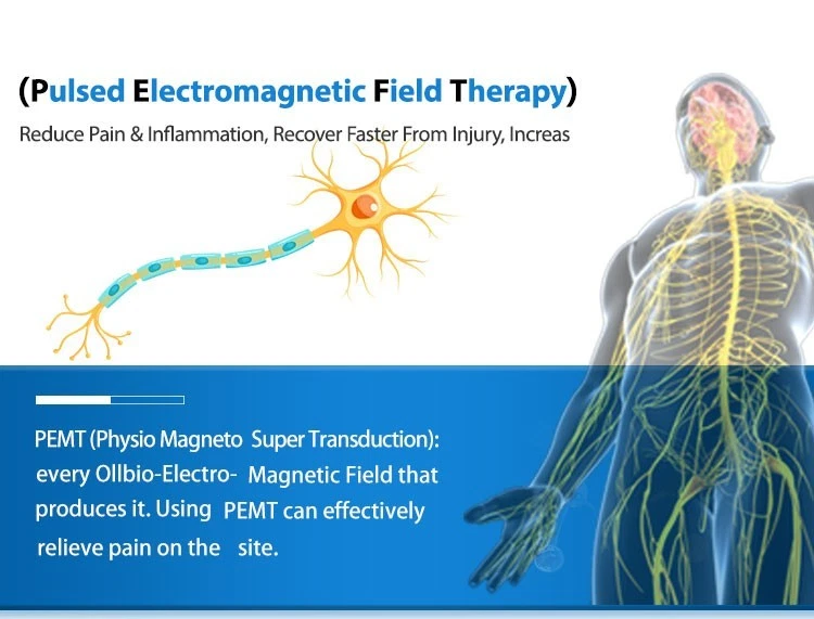 Professional Pemf Physio Magnetic Therapy Pmst Loop Pemf Health Care Device - Picture 9 of 24