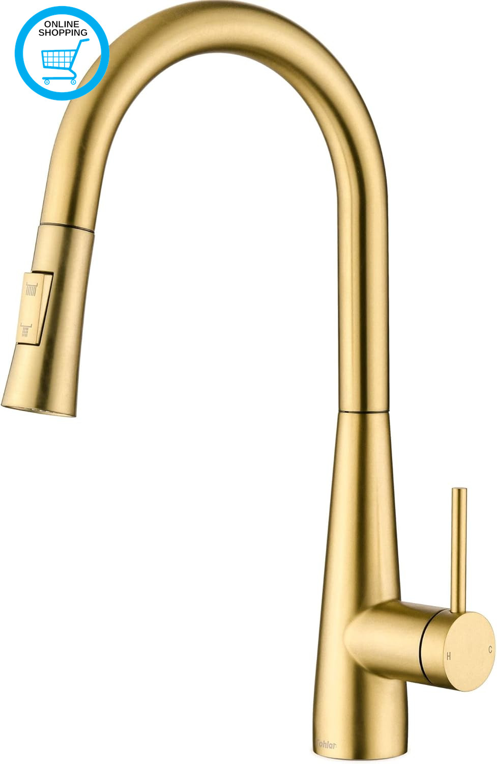 Gold Kitchen Tap with Pull Out Spray - Stainless Steel Sink Mixer Tap in Brushed