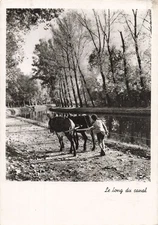 45 LE LON DU CANAL