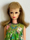 Vintage FRANCIE 1966 Twist'n Turn Barbie Doll TNT Bend Leg Blonde Mattel