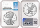 Photo of a 2025-P American Silver Eagle from an eBay listing that sold on Jul 22, 2026