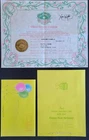 Vintage Cabbage Patch Kids Girl Adoption Certificate & 1st Birthday Card Cornsil