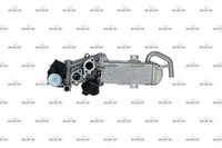 NEU - NRF 48213 Agr-Ventil FüR Audi Seat Skoda VW