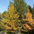 Bild 7 von 9