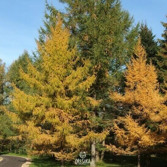 Bild 7 von 9