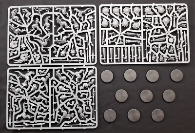 10 Saurus Warriors Seraphon Army Box Set NO BOX Warhammer