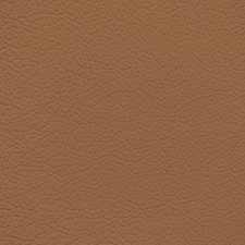 Toyota Camel Leather Dye