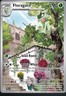 Pokémon Floragato 197/193 Sv02 Paldea Evolved Illustration Rare Stage 1 90HP
