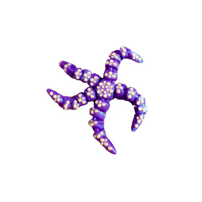3D Printed Tiny Starfish Mini Ocean Flexi Fidget Toy