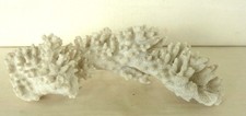 Nice Large Piece of Vintage Natural White Sea Coral 26cm