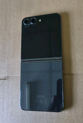 Samsung Galaxy Z Flip5  Display Schaden