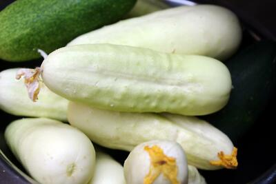 #ad White Wonder Cucumber Seeds Ivory King White Albino NON GMO FREE SHIPPING $20.79