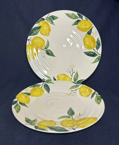 Set of 2 Pier One Lemon Dinner Plates Handcrafted Ironstone