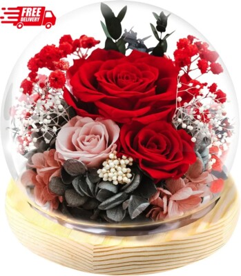 Valentine's Day Gifts for Her Preserved Real Flowers Eternal Rose in Glass Dome