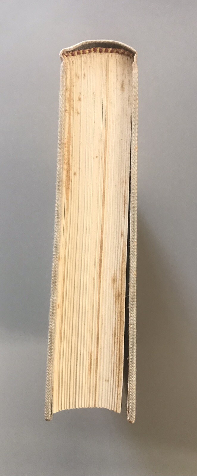 Foto 3 di 6