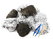 PelletPal Premium Barn Owl Pellets, Large Pack of 10 - Free Bone ID Chart, ...