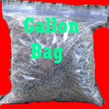 Spanish Moss Live Florida Oak Tree Fresh decorative floral craft Air Plant dried