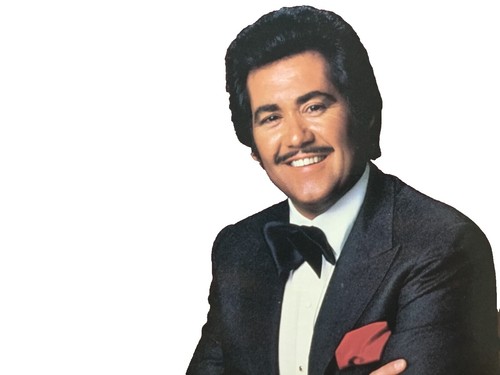 WAYNE NEWTON Wayne Newton Sings Hit Songs | eBay