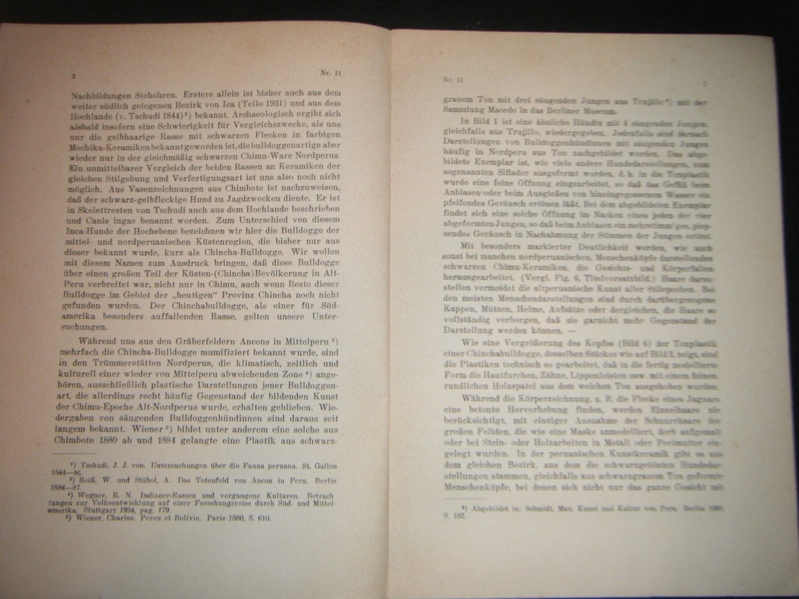 1937 Die Chincha Bulldogge Dr Max Hizheimer Dr Richard Wegner Peru Archaeology - 画像4/6