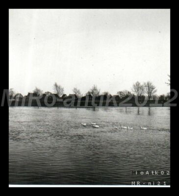 Foto, Deutschl.tour Fam.aus Braunschweig´37, Brandenburg a.d. Havel 7 5026-1132