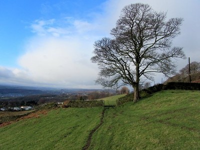Foto A2 Auf einem Fußweg Richtung Crook Farm Baildon Auf einem Fuß folgen c2014