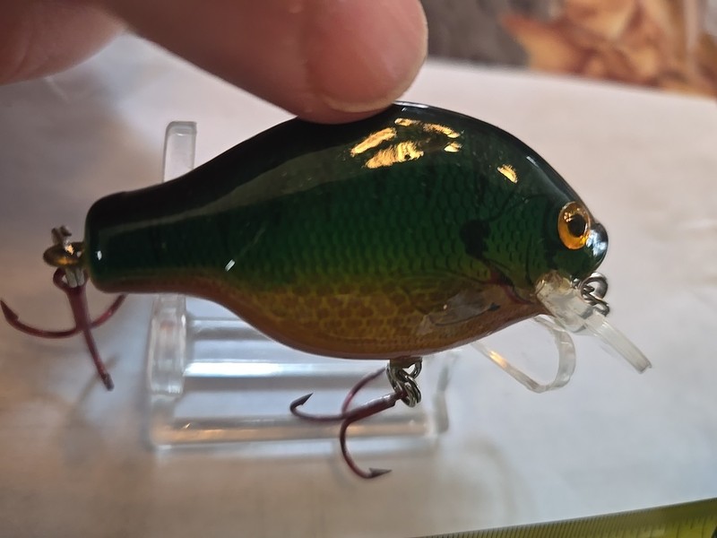Bagleys Bream (NEW)