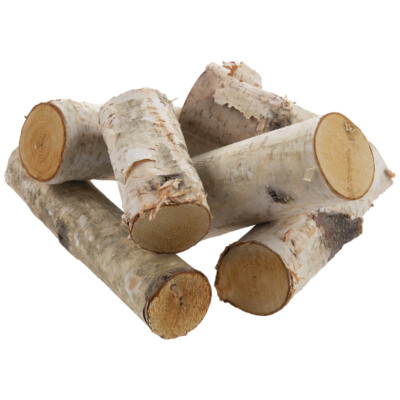 Mini Birch Logs 6 pack 2'' X 4-8''