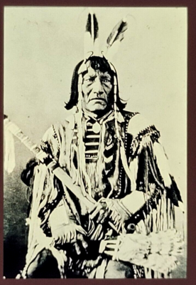 #ad Sioux Warrior Two Bears Na to#x27; nom#x27; pa Native American Tribe Photo Slide Vtg $18.20