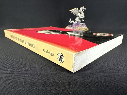 Sartre: Literature & Theory, Rhiannon Goldthorpe 1986 - Foto 4 di 10